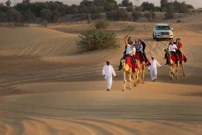 Premium desert safari with long camel ride experience