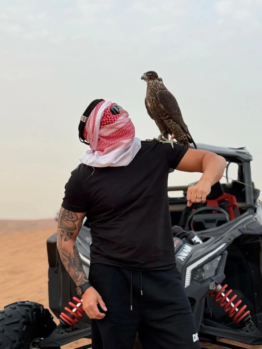 Falcon photo moment during a desert safari